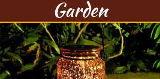 How To Incorporate Light And Colour Into Your Garden How To Incorporate Light And Colour Into Your Garden
