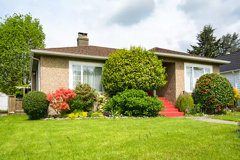 Lush Front Yard Lawn Lush Front Yard Lawn