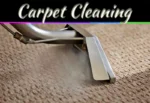 Professional Carpet Cleaning Services: 9 Smart Reasons To Hire Experts Professional Carpet Cleaning Services: 9 Smart Reasons To Hire Experts