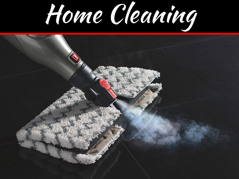 Steam Mops Pros And Cons Steam Cleaner Buying Guide My Decorative