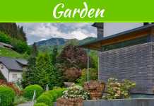 Low-Maintenance Lawn Alternatives: 4 Easy Ideas For A Beautiful Front Yard 4 Lawn Alternatives For A Low-Maintenance Front Yard