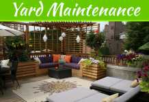 Summer’s On: 4 Steps To Care For Your Yard Before You Party Summer's On: 4 Steps To Care For Your Yard Before You Party