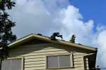 best roofers