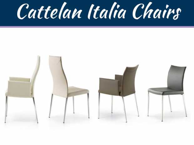 Cattelan Italia Chairs: Unquestionable Comfort, Unrivaled Charm