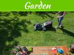 How to Keep Your Lawn Alive and Thriving All Summer How to Keep Your Lawn Alive and Thriving All Summer