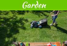 How to Keep Your Lawn Alive and Thriving All Summer How to Keep Your Lawn Alive and Thriving All Summer