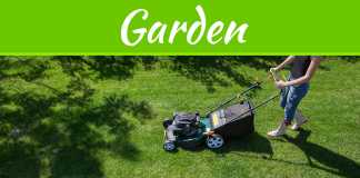 How to Keep Your Lawn Alive and Thriving All Summer How to Keep Your Lawn Alive and Thriving All Summer