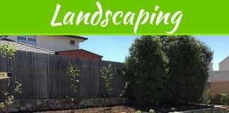 Landscaping Is An Art; Connecting Nature With Lifestyle Landscaping Is An Art; Connecting Nature With Lifestyle