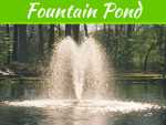 Learn How To Maintain Your Fountain Pond Learn How To Maintain Your Fountain Pond