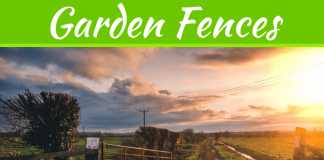 Everything You Need To Know About Garden Fences Everything You Need To Know About Garden Fences