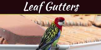Real Cost Of Leaf Gutter Guard Installation: DIY vs Pro Prices How Much It Actually Costs to Install Leaf Gutters