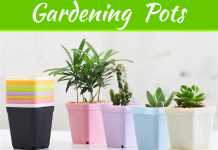 Innovative Gardening With Square Pots Innovative Gardening With Square Pots