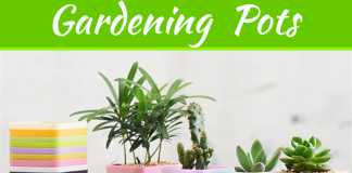 Innovative Gardening With Square Pots Innovative Gardening With Square Pots