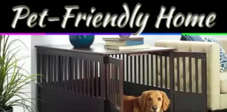 Pet-Friendly Home Remodel Ideas That Make Life Easier For You And Your Pets Pet-Friendly Home Remodel Ideas That Make Life Easier For You And Your Pets