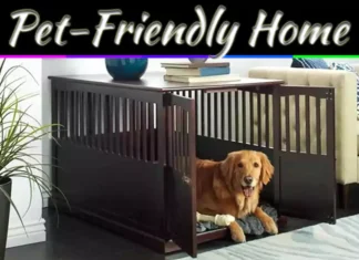 Pet-Friendly Home Remodel Ideas That Make Life Easier For You And Your Pets Pet-Friendly Home Remodel Ideas That Make Life Easier For You And Your Pets