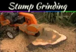 Stump Grinding Machine: Key Factors To Choose The Right One Stump Grinding Machine: Key Factors To Choose The Right One