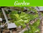Canadian Hydroponics Store: Revolutionizing Modern Gardening Online The Deal Between Gardening & An Online Canadian Hydroponics Store