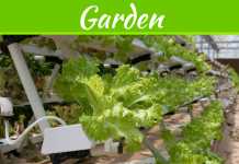 Canadian Hydroponics Store: Revolutionizing Modern Gardening Online The Deal Between Gardening & An Online Canadian Hydroponics Store