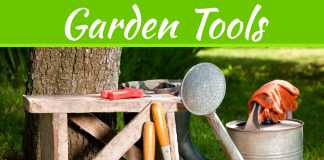 5 Tools You Absolutely Need For Your Garden 5 Tools You Absolutely Need For Your Garden