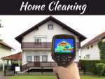 7 Signs That There Are Pests Living In Your Home 7 Signs That There Are Pests Living In Your Home