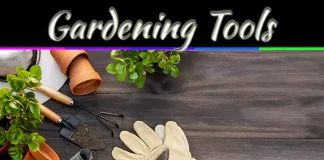 Essential Gardening Tools: 5 Must-Haves For Every Garden Essential Gardening Tools: 5 Must-Haves For Every Garden