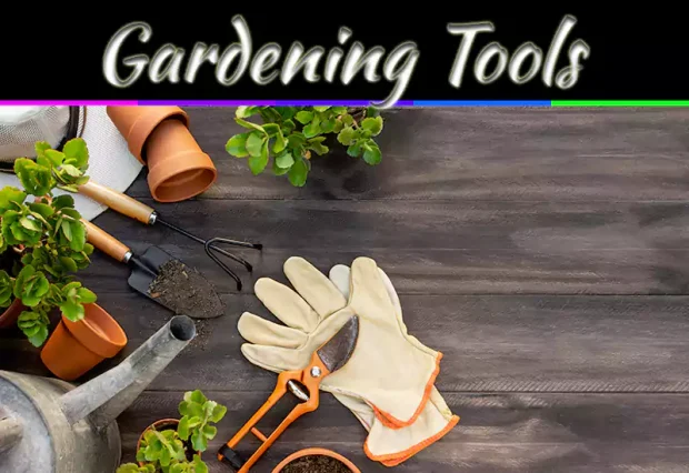 Essential Gardening Tools: 5 Must-Haves For Every Garden
