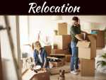 How To Survive The Stress Of Moving Houses How to Survive the Stress of Moving Houses