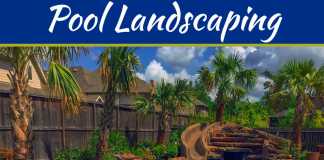 Pool Landscaping Ideas On A Budget Pool Landscaping Ideas On A Budget