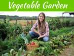 3 Tips To Grow Vegetables In A Small Garden 3 Tips To Grow Vegetables In A Small Garden