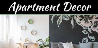 5 Ways To Turn Your New Apartment Into A Home 5 Ways To Turn Your New Apartment Into A Home