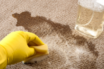 Clean-Rug-Spills-And-Spots-Quickly