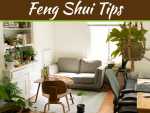 Comfortable And Coordinated: How To Feng Shui Your Home In A Jiff Comfortable And Coordinated: How To Feng Shui Your Home In A Jiff