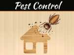 How To Prevent Pests In Any Area Of Your Home