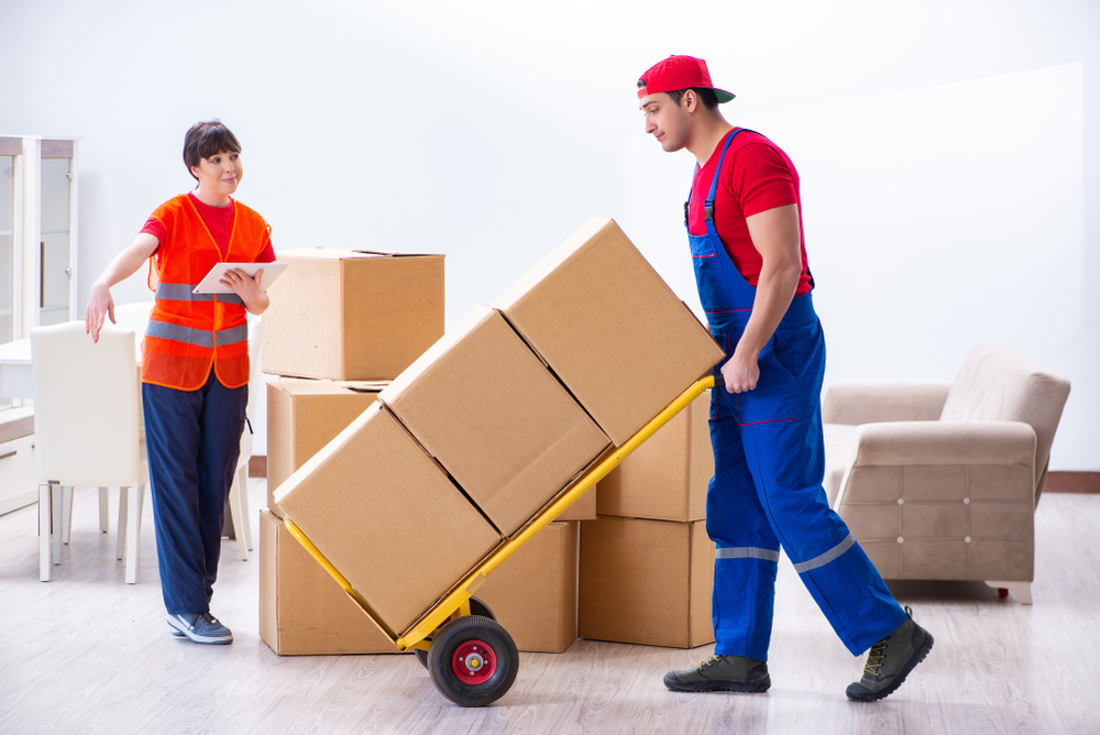 Should I Hire Professional Packers To Pack My Home When Moving? | My  Decorative