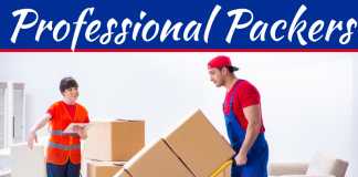Should I Hire Professional Packers To Pack My Home When Moving? Should I Hire Professional Packers To Pack My Home When Moving?