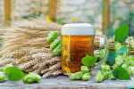 use-beer-in-garden-as-natural-pesticides