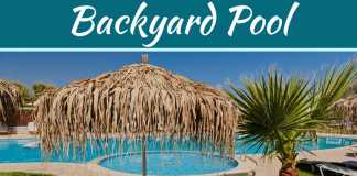 Want A Pool In Your Yard? 4 Maintenance Needs To Be Aware Of Want A Pool In Your Yard? 4 Maintenance Needs To Be Aware Of