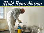 Everything You Need To Know About Mold And Mold Remediation Everything You Need To Know About Mold And Mold Remediation