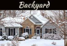 How To Make Your Backyard Usable During Winter How To Make Your Backyard Usable During Winter