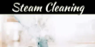 Steam Cleaning Benefits: A Natural Way To Refresh Your Home Steam Cleaning Benefits: A Natural Way To Refresh Your Home