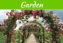 Top 8 Captivating Flower Garden Designs Top 8 Captivating Flower Garden Designs