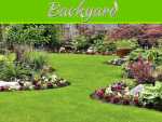 7 Eco-Friendly Ways to Care for Your Backyard