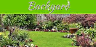 7 Eco-Friendly Backyard Care Tips To Grow A Greener Outdoor Space 7 Eco-Friendly Ways to Care for Your Backyard