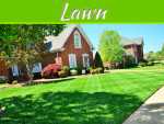 8 Steps To Transform Your Unhealthy Lawn 8 Steps To Transform Your Unhealthy Lawn