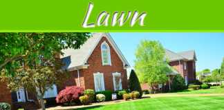 8 Steps To Transform Your Unhealthy Lawn 8 Steps To Transform Your Unhealthy Lawn