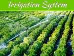 Advantages & Disadvantages of Irrigation Systems Advantages & Disadvantages of Irrigation Systems