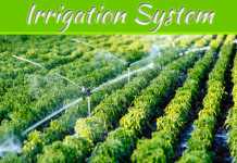 Advantages & Disadvantages of Irrigation Systems Advantages & Disadvantages of Irrigation Systems
