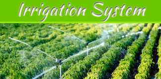 Advantages & Disadvantages of Irrigation Systems Advantages & Disadvantages of Irrigation Systems