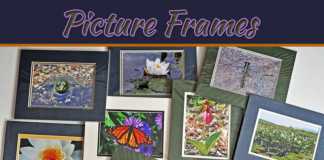 How Best To Prevent Your Picture Frames From Rot How Best To Prevent Your Picture Frames From Rot