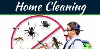 How to Spot Bed Bugs & How We Can Get Rid of Them? How to Spot Bed Bugs & How We Can Get Rid of Them?